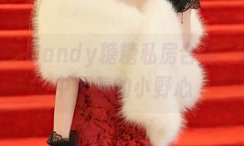 秀人网 - Candy糖糖私房合集:裤里丝中藏着的小野心